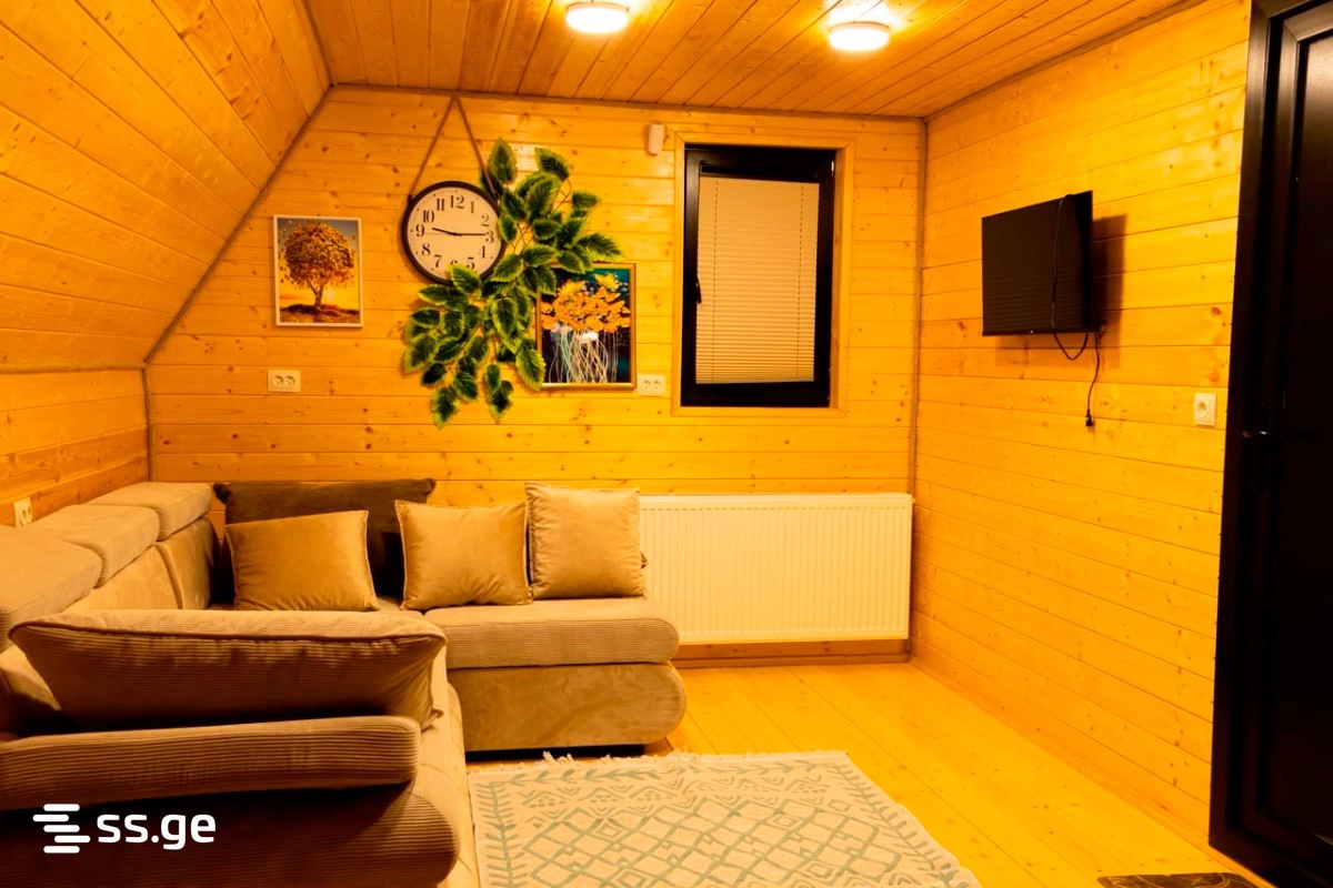 5 Room Private House Daily Rent. Natakhtari view 4