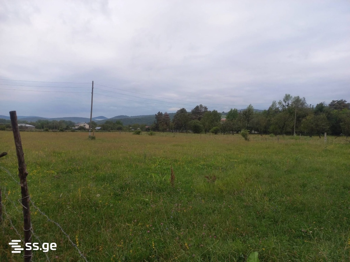 Land For Sale. Tianeti view 4