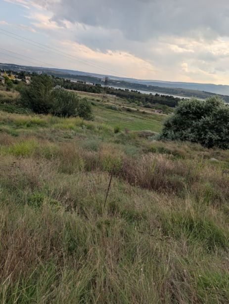 https://static.ss.ge/20261007/19_0038afc5-3c5a-4619-a050-6b522371dcde_Thumb.jpg