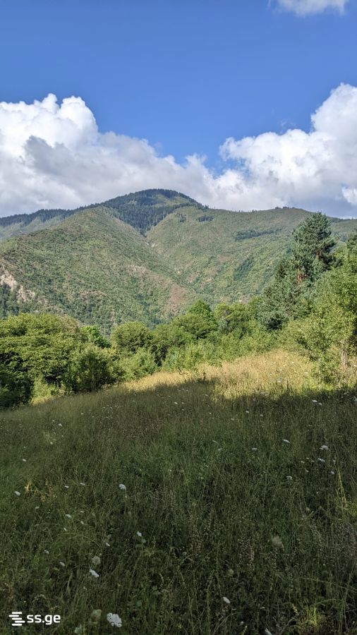 Land For Sale. Borjomi view 1
