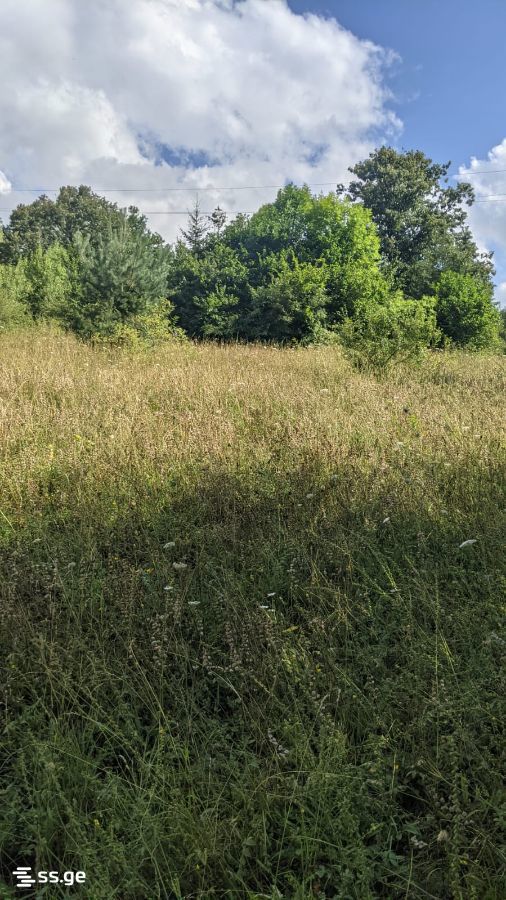 Land For Sale. Borjomi view 2