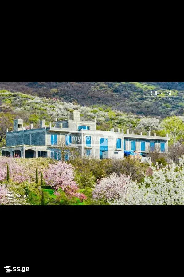Hotel For Sale. Sagarejo view 1