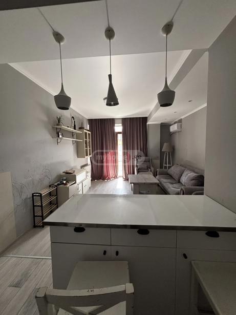 https://static.ss.ge/20261007/3_8ff8169e-8909-4731-bbe2-8468dfecc603_Thumb.jpg