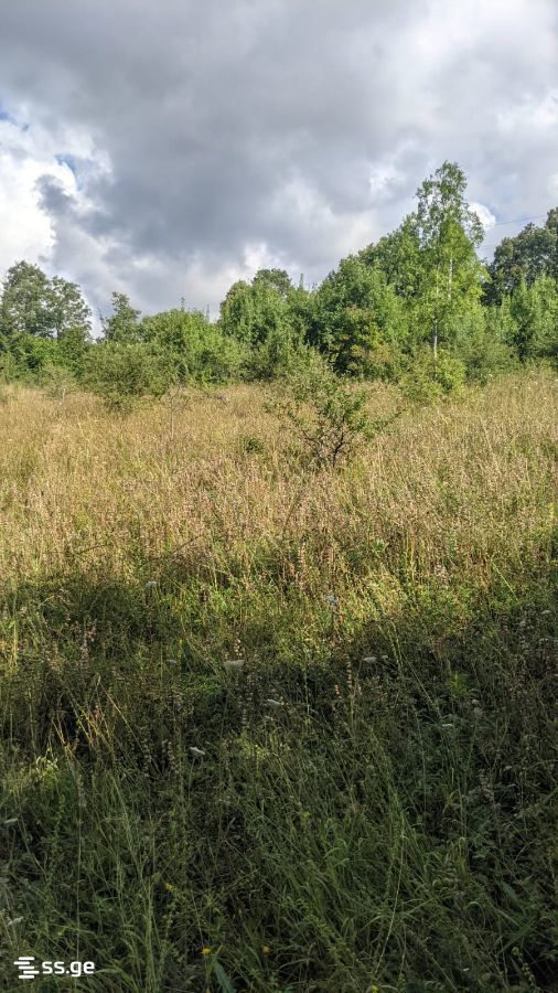 Land For Sale. Borjomi view 3