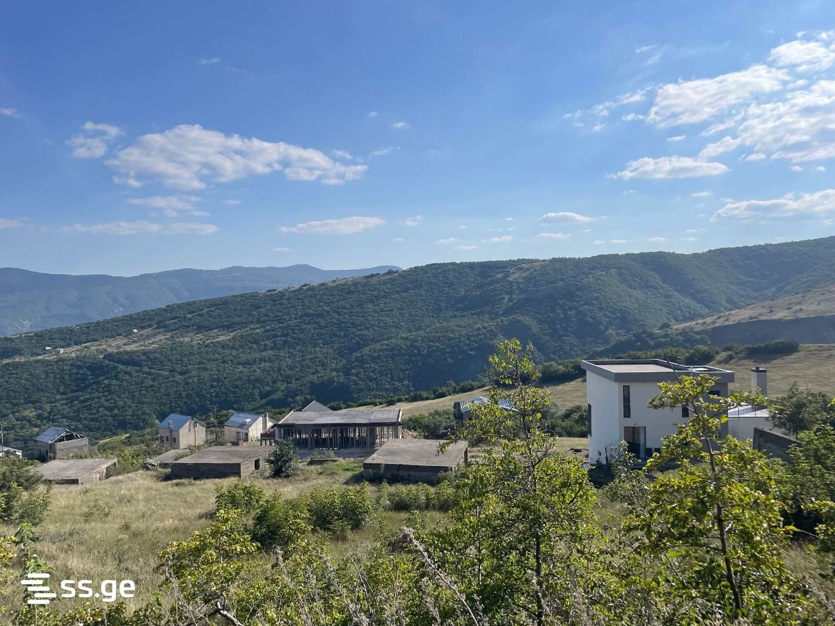 Land For Sale. Napetvrebi view 3