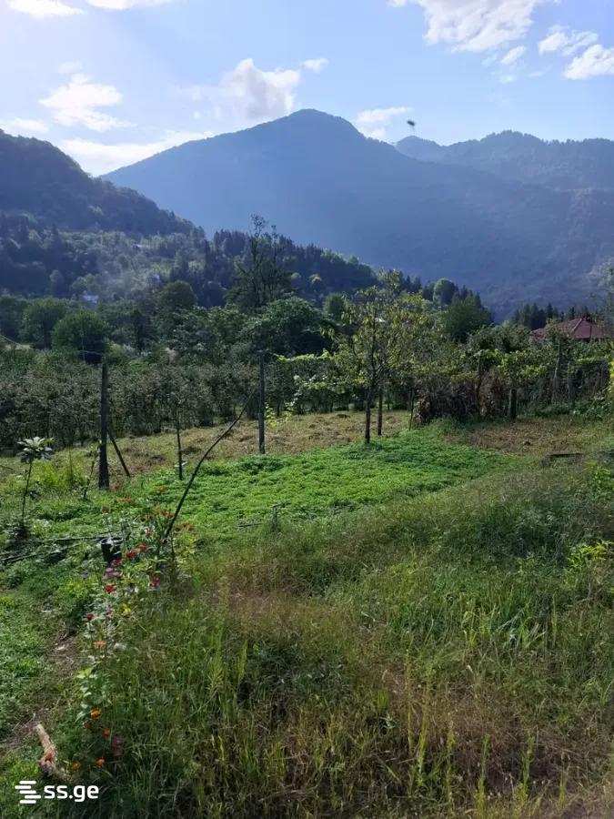Land For Sale. Keda view 4