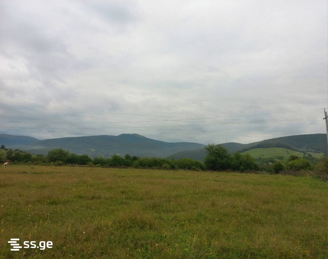 Land For Sale. Tianeti view 2
