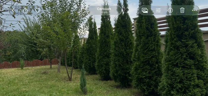 https://static.ss.ge/20261008/0_34246de3-f39e-47a5-8be1-4e2a89991852_Thumb.jpg