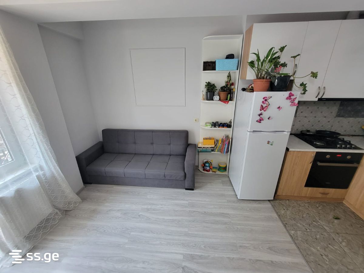 2 Room Flat For Rent. Mtskheta view 4