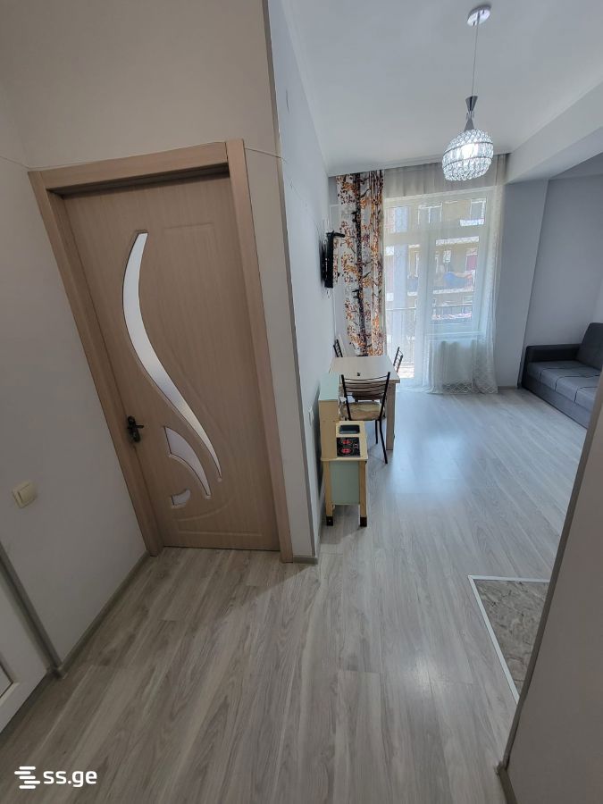 2 Room Flat For Rent. Mtskheta view 2