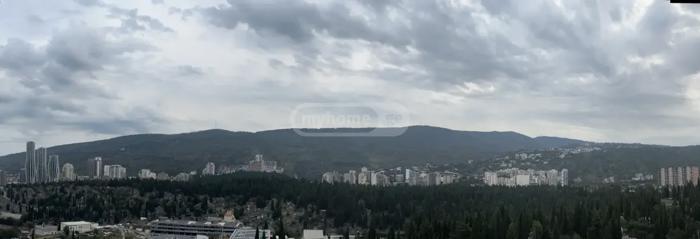 https://static.ss.ge/20261008/12_bd78d4aa-91ac-4859-b9a9-aedb165e5b0a_Thumb.jpg