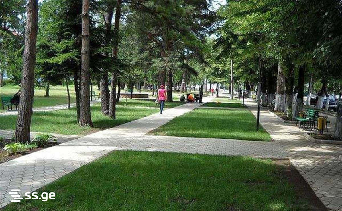 Land For Sale. Akhmeta view 2