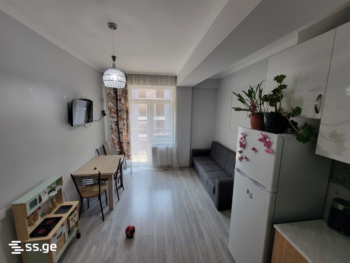 2 Room Flat For Rent. Mtskheta view 1