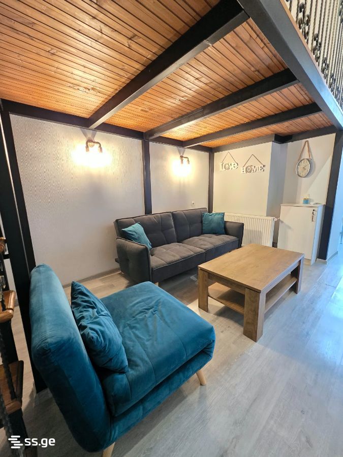 1 Room Flat Daily Rent. Sololaki view 1