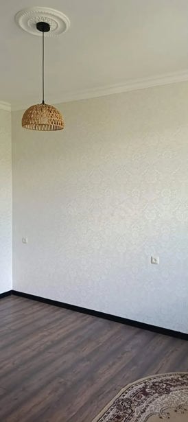 https://static.ss.ge/20261008/17_51e6580e-245c-41bb-8147-3f38d59628ad_Thumb.jpg