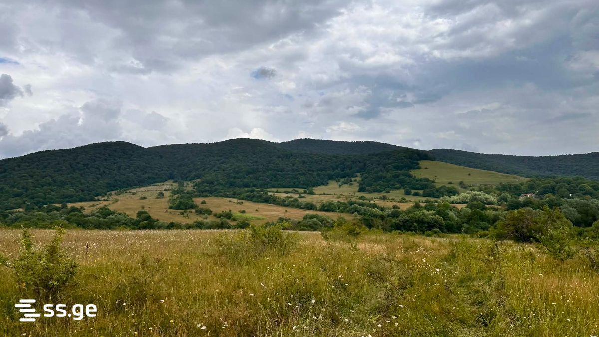 იყიდება მიწა ტიანეტიში view 2