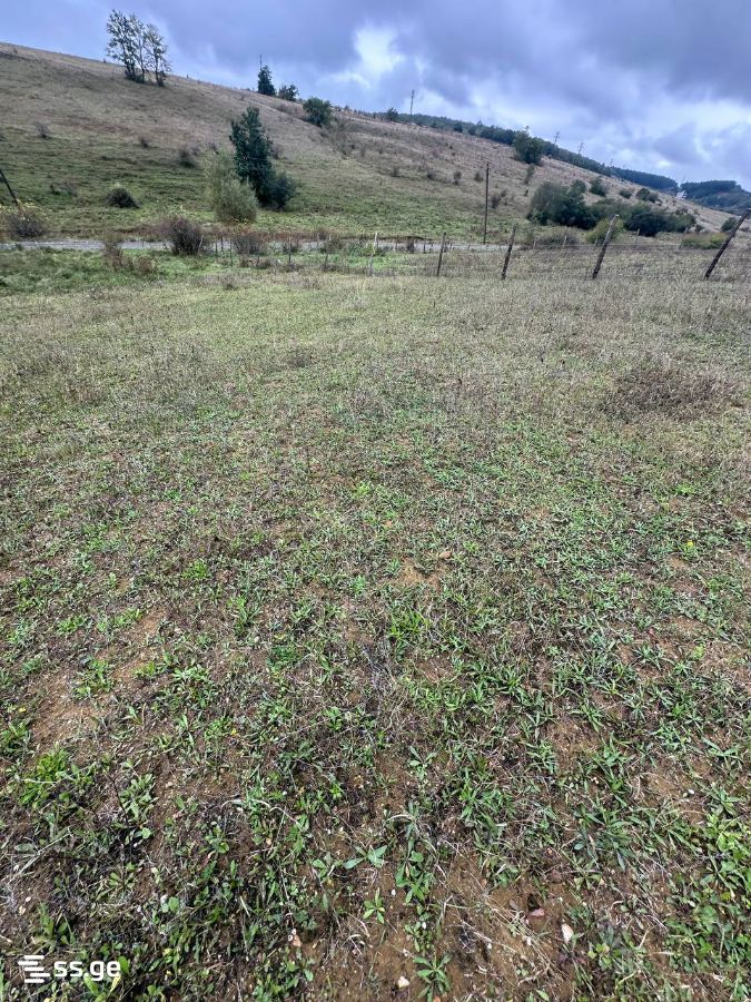 Продажа Земля в хашури view 3