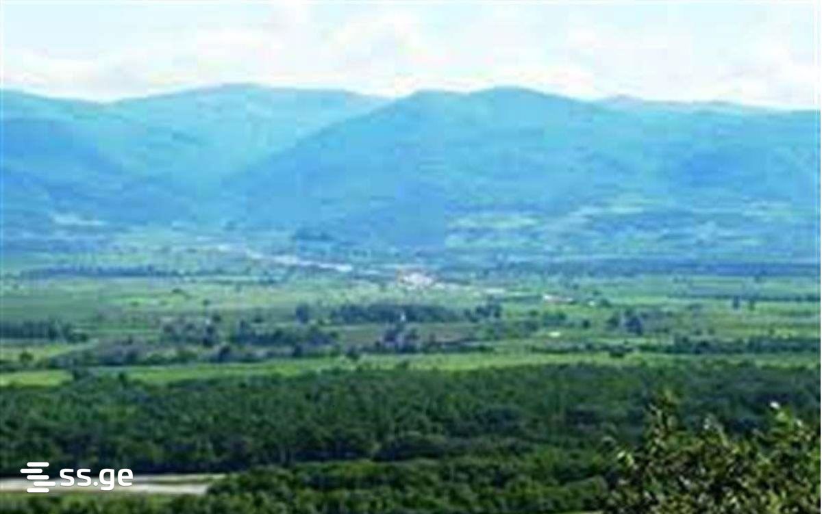 Land For Sale. Akhmeta view 3