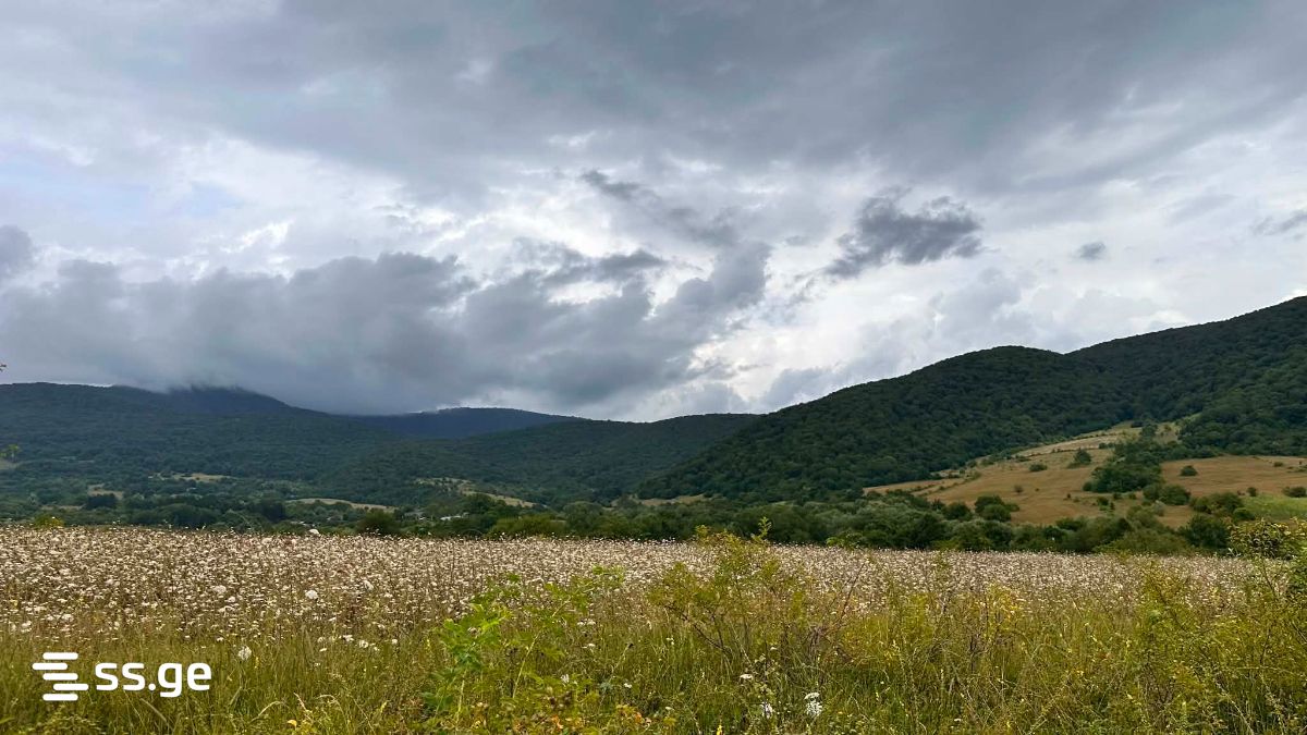 იყიდება მიწა ტიანეტიში view 1