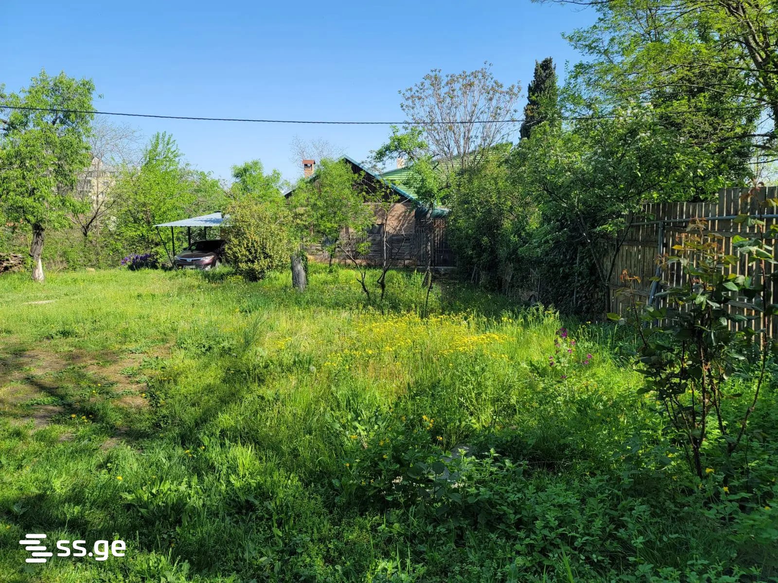 Land For Sale. Vera view 2