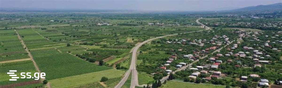 Land For Sale. Akhmeta view 4