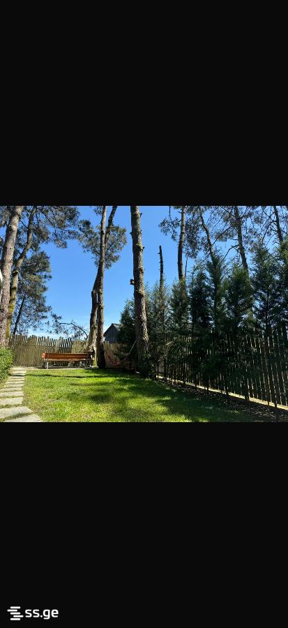 3 Room Summer Cottage For Rent. Shekvetili view 4