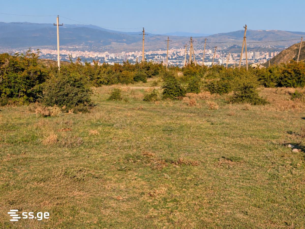 Land For Rent. Vedzisi view 2