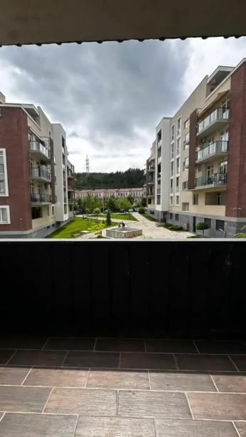 https://static.ss.ge/20261009/19_7c291498-fafe-41d5-ab12-b4b82524d2eb_Thumb.jpg