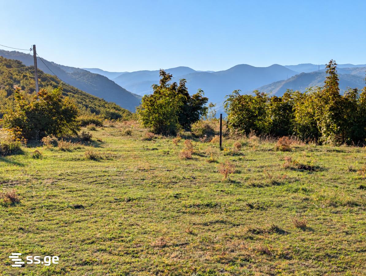 Land For Rent. Vedzisi view 1