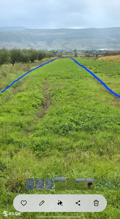 Land For Sale. Kaspi view 1