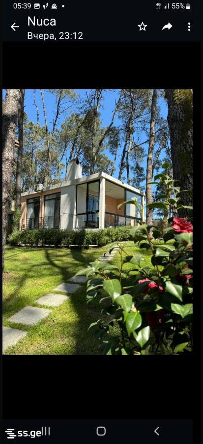 3 Room Summer Cottage For Rent. Shekvetili view 1