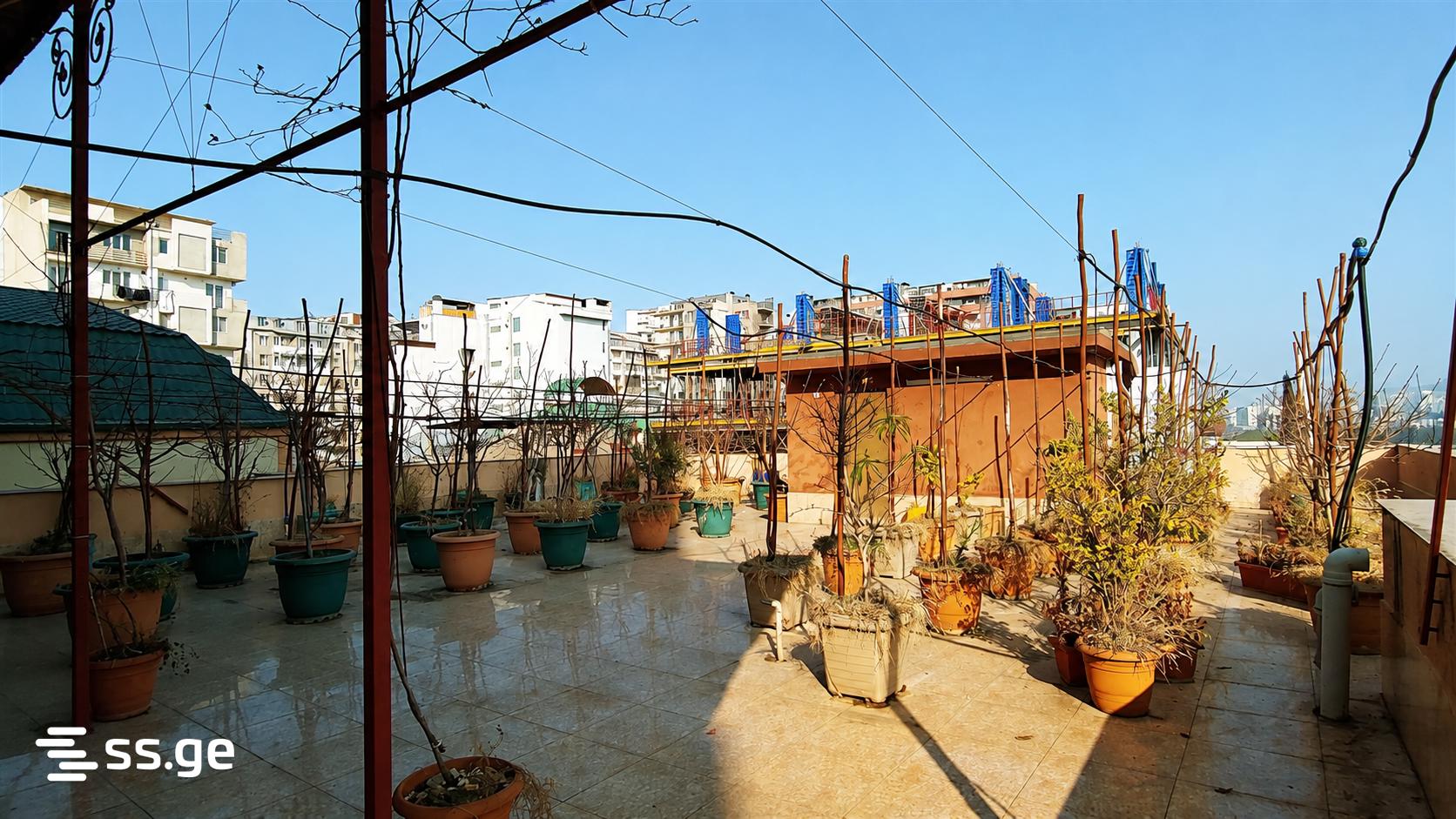 1 room Flat Daily rent. Saburtalo  - picture #15