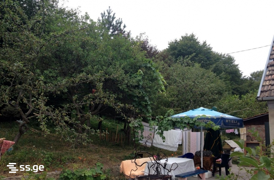 7 Room Summer Cottage For Sale view 3