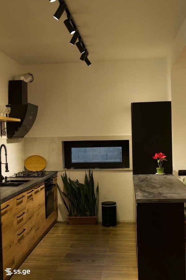 5 Room Private House Daily Rent. Bazaleti view 4