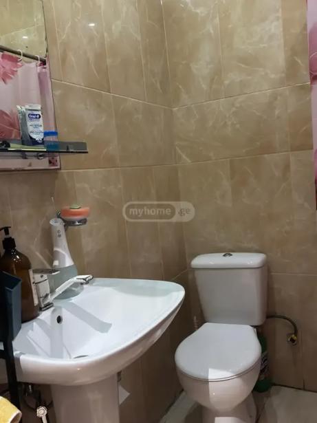 https://static.ss.ge/20261010/12_e30b6e8a-1ca4-4cbf-b6ba-ff72f2db831f_Thumb.jpg