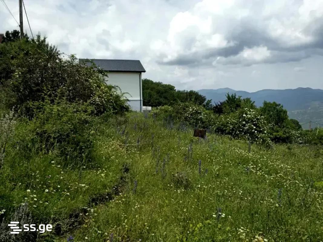Land For Sale. Betania view 4