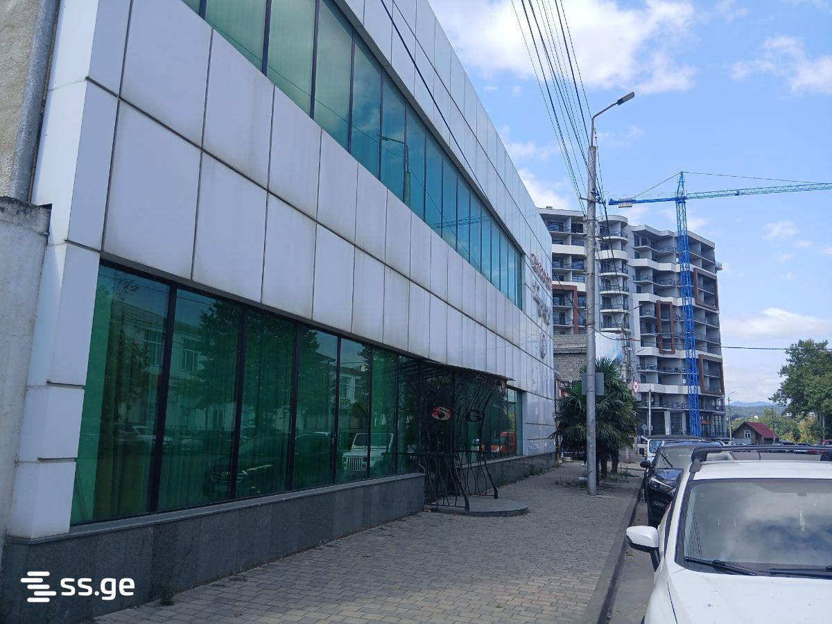 Commercial Space For Rent. Kutaisi view 2