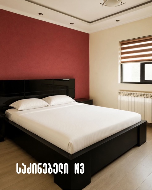 https://static.ss.ge/20261010/3_eda3f122-7d08-4ef0-82fa-ec227fb3d3f0_Thumb.jpg