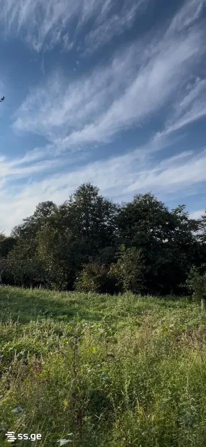Land For Sale. Akhalsopeli view 2