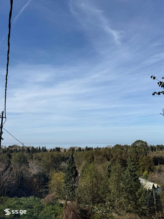 Продажа Земля в цихисдзири view 4