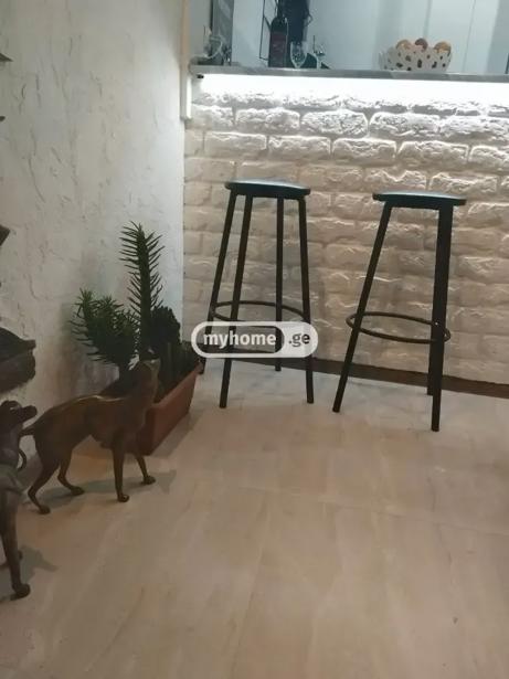 https://static.ss.ge/20261010/7_a4199588-d617-4dab-8f60-d7c30bca476d_Thumb.jpg