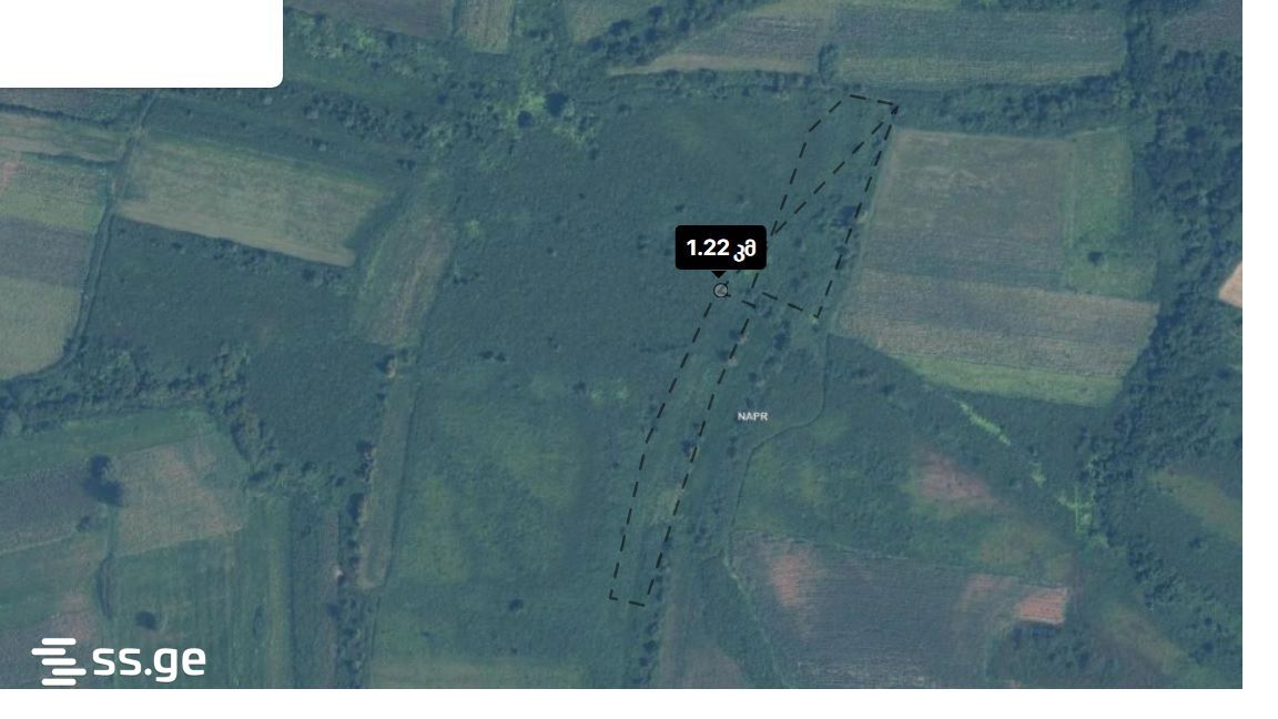 Land For Sale. Samtredia view 3
