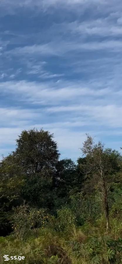 Land For Sale. Akhalsopeli view 1