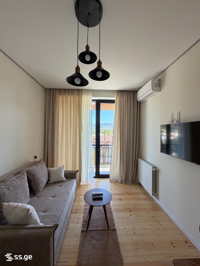1 Room Flat Daily Rent. Tskaltubo view 3