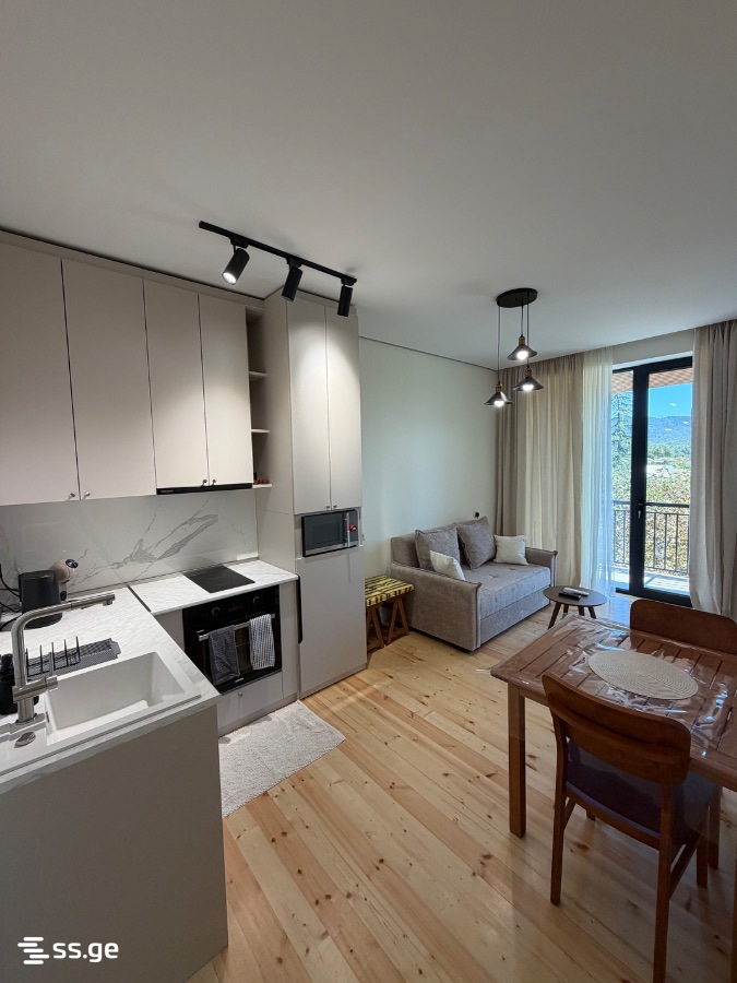 1 Room Flat Daily Rent. Tskaltubo view 1