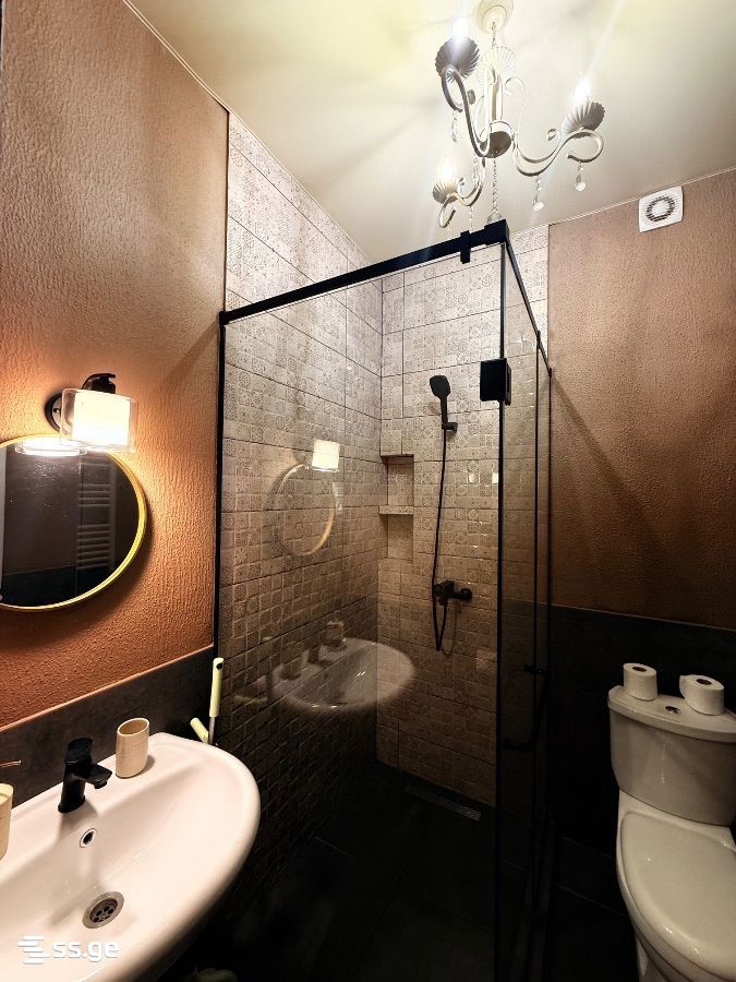 4 Room Hotel For Rent. Digomi view 8