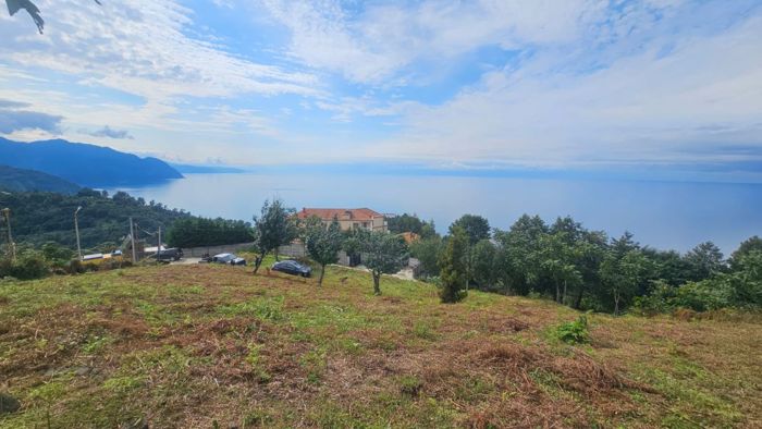 https://static.ss.ge/20261011/15_51b31b68-e543-428c-a1c6-ff92ffac2809_Thumb.jpg