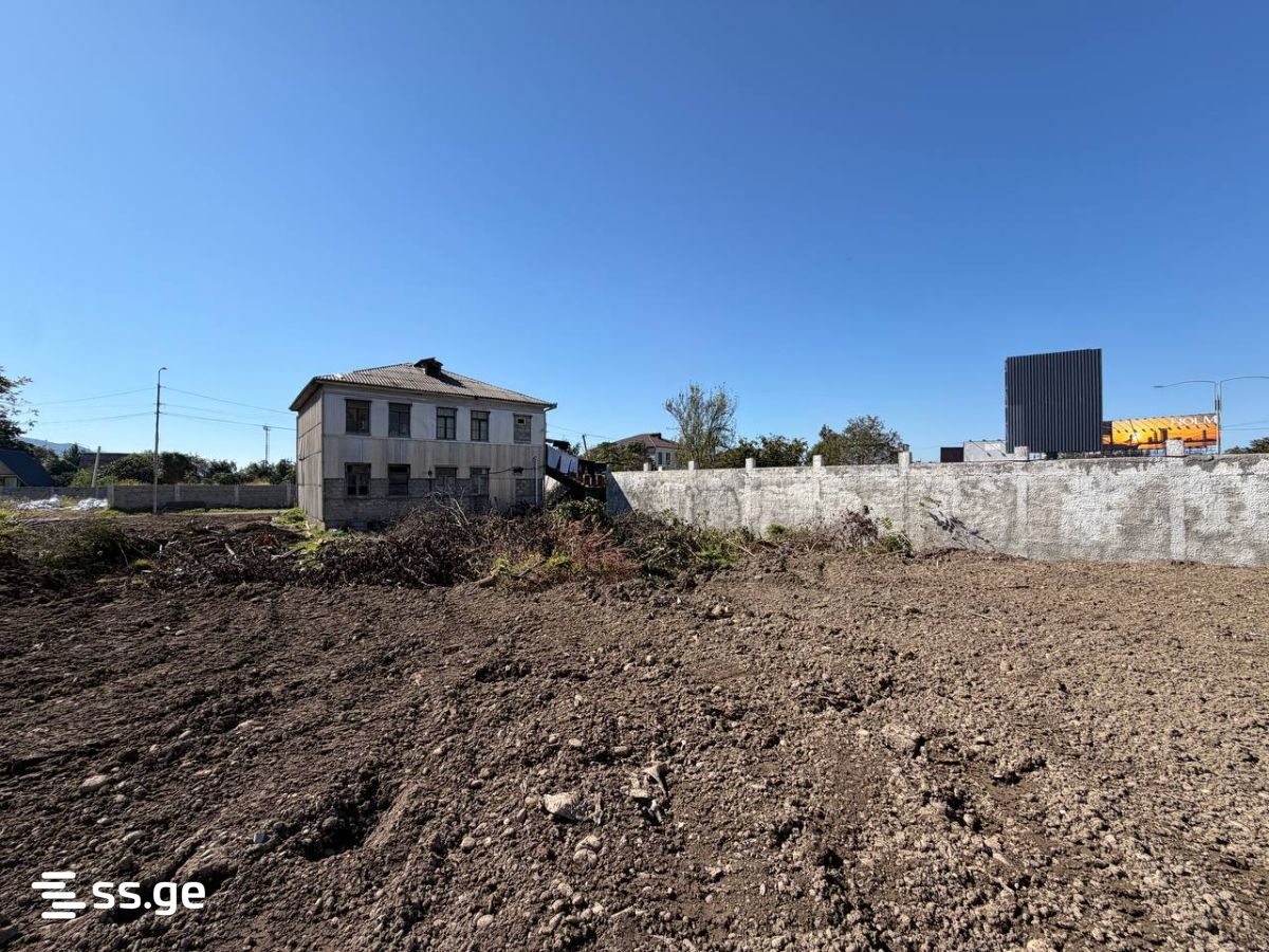 Land For Rent. Batumi view 6