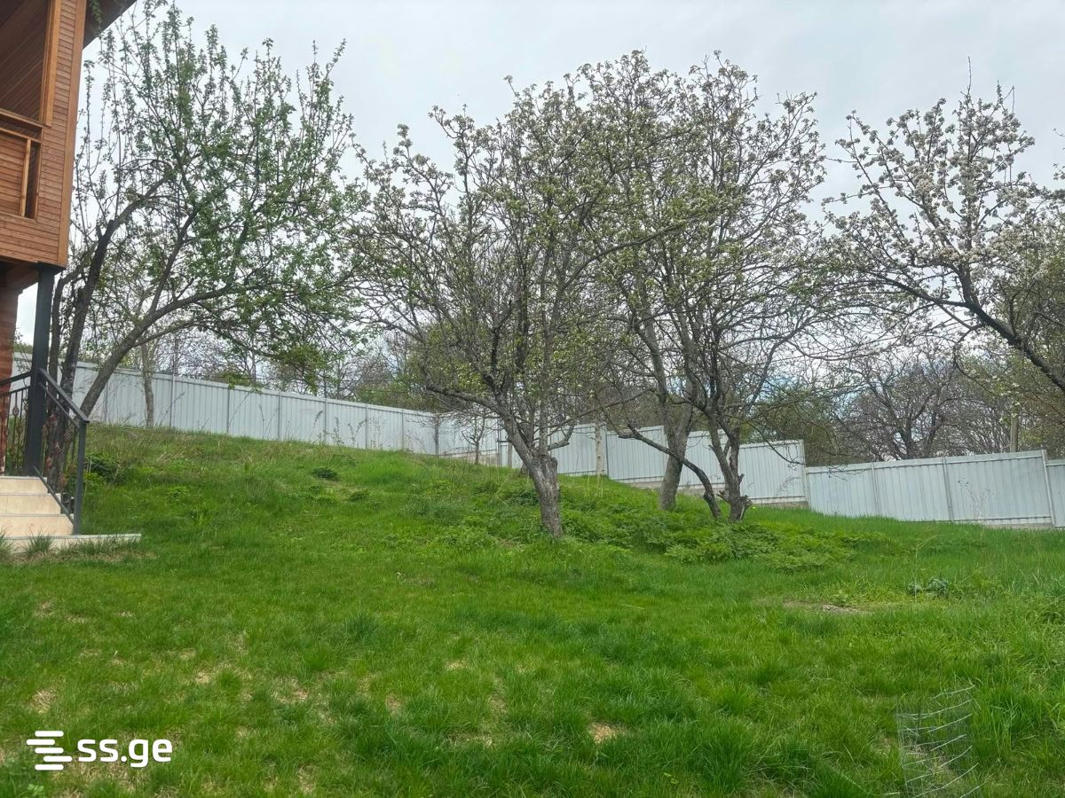 Land For Sale. Betania view 1