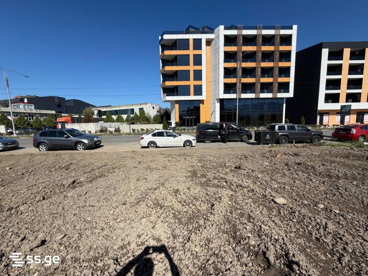 Land For Rent. Batumi view 7